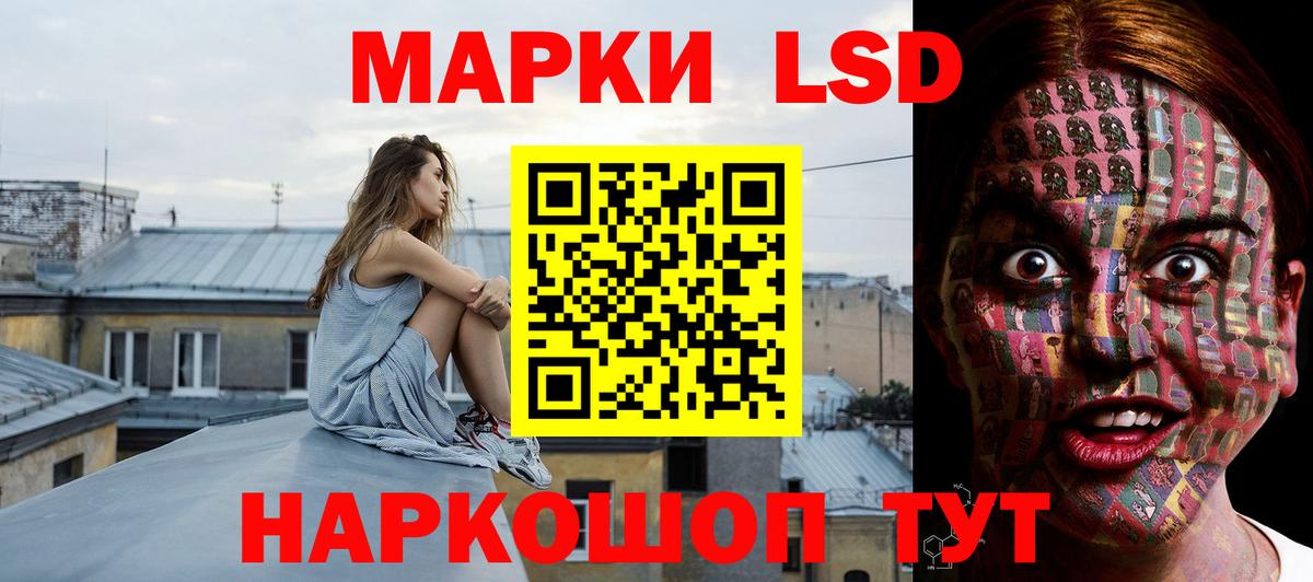 Кингисепп  Лсд 25 экстази ecstasy  Лсд 25 экстази кислота  Вход с VPN 