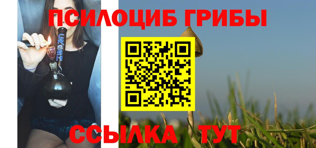 Галлюциногенные грибы ЛСД Кингисепп